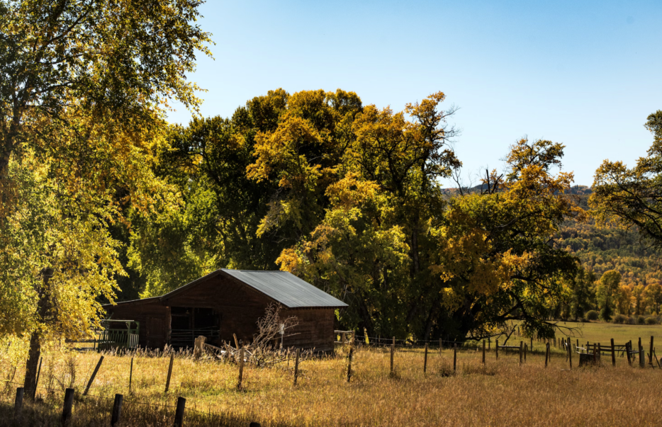 Jurassic Kahili Ranch