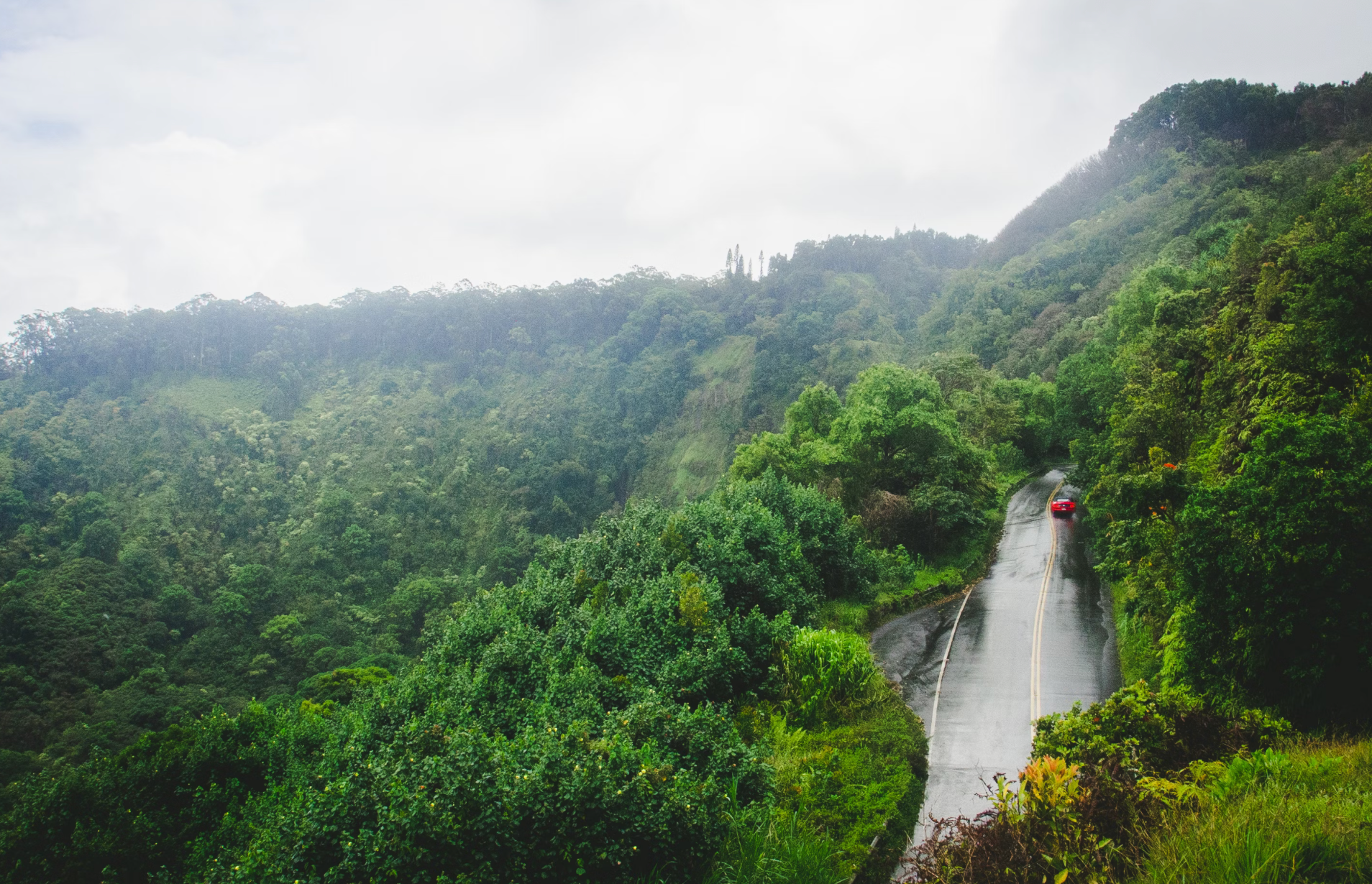 Road To Hana