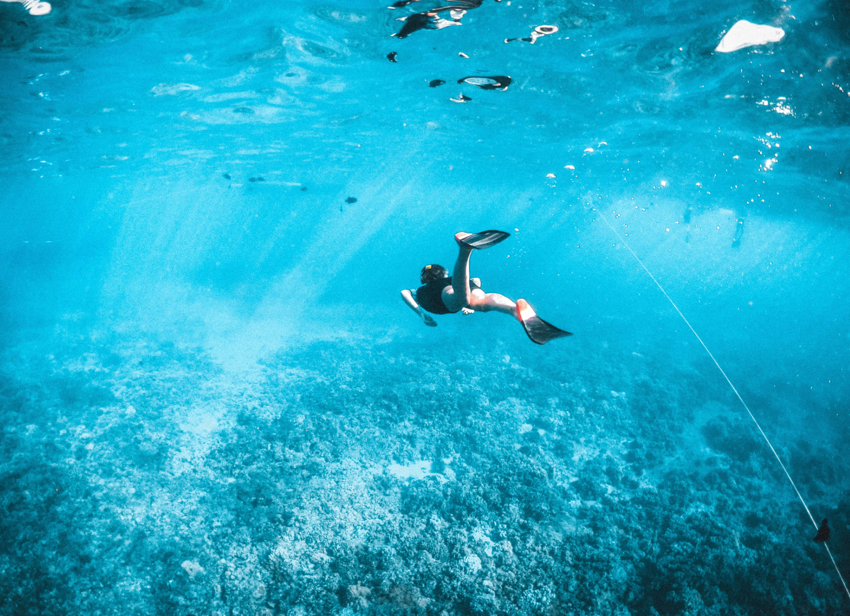 Snorkeling