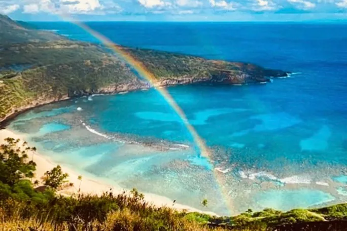 Hanauma Bay Tours