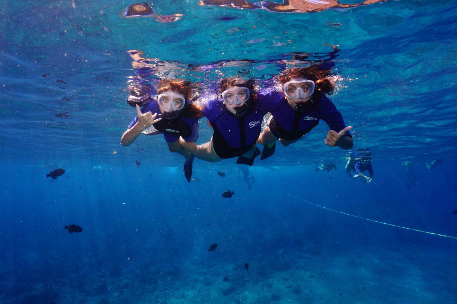 Snorkeling Tour