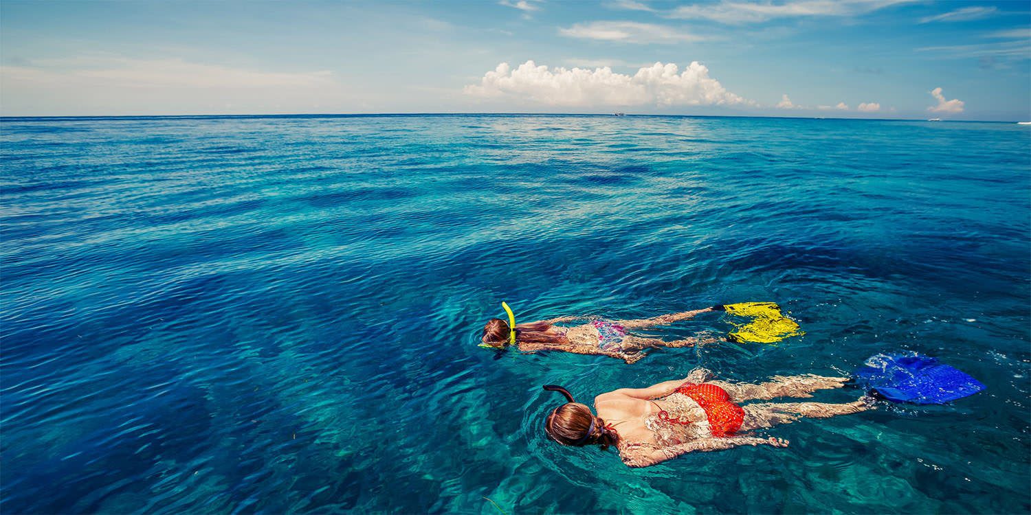 Snorkeling Tours on Big Island