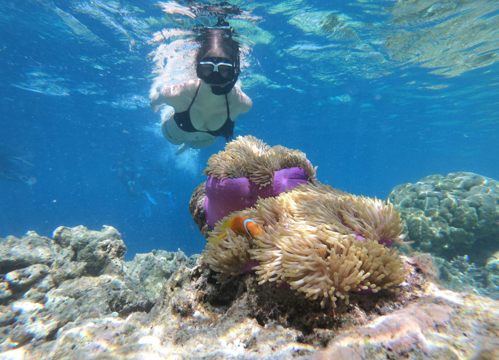 snorkeling adventure!