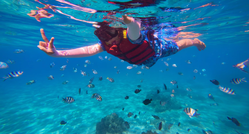 snorkeling adventure!2