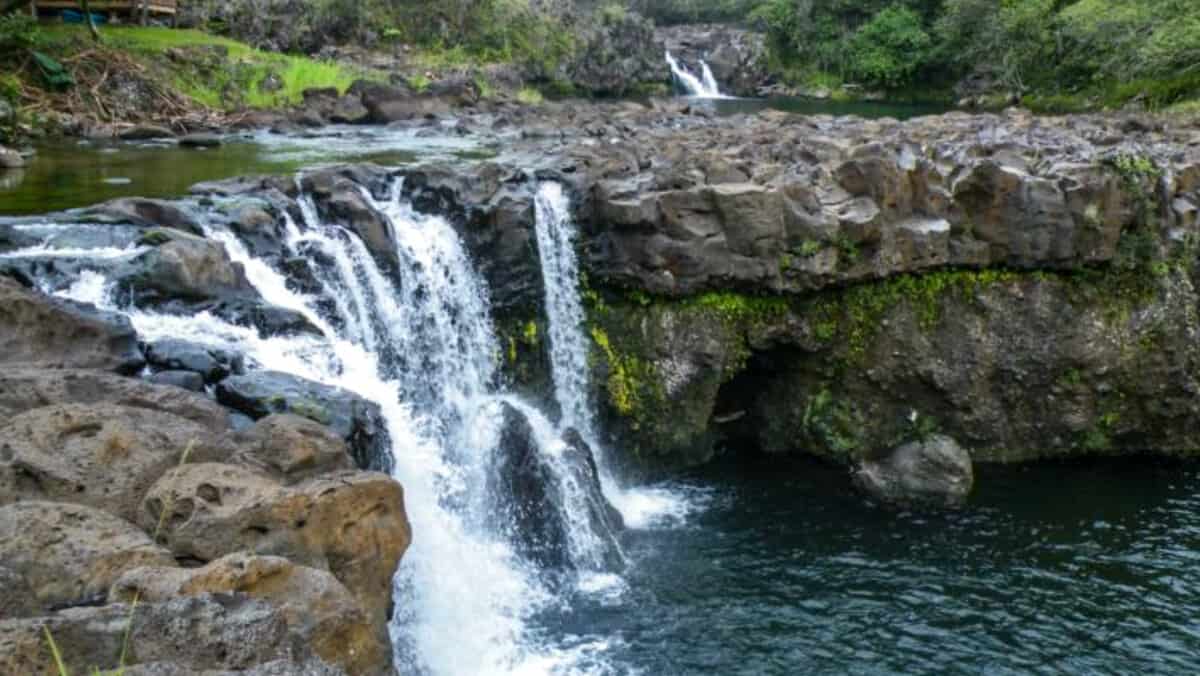 Hawaii-zipline-and-waterfall-swim-zip-dip-umauma-falls