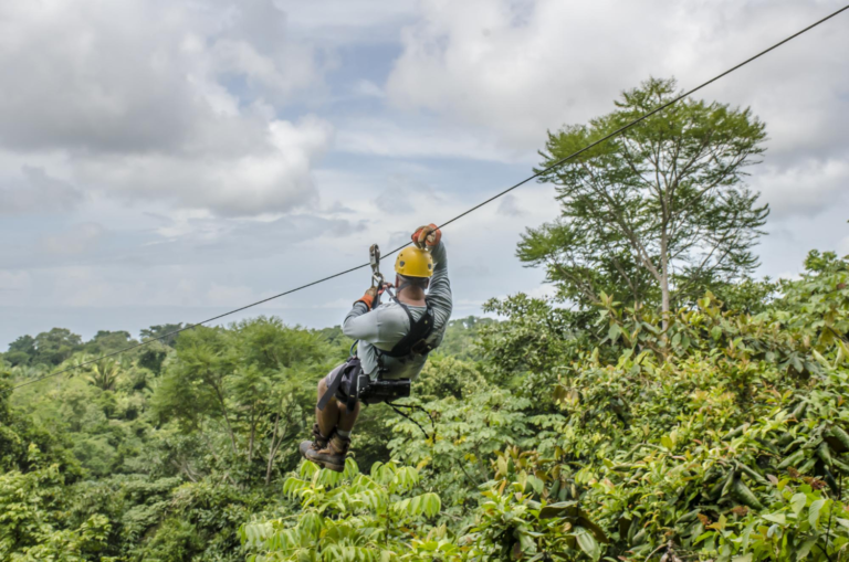 Go Ziplining Tours