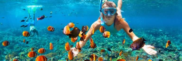 Snorkeling Tours