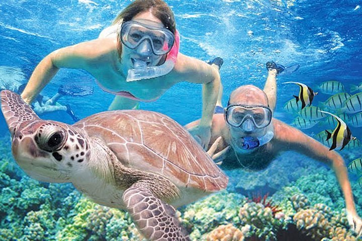 Book Your Kauai Snorkeling Adventure With Us!