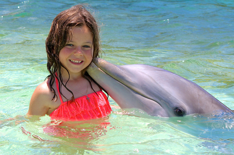 Dolphin Encounter