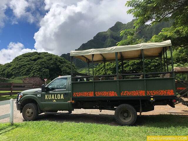 Jurassic Jungle Jeep Expedition