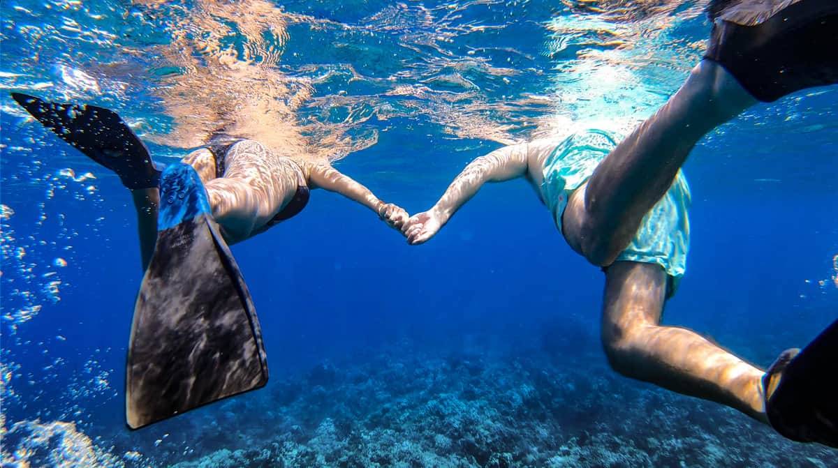 Lana’i Snorkel & Dolphin Watch - Ma'alea Harbor