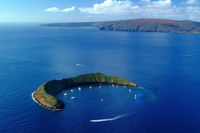 Molokini and Turtle Arches Snorkel - Ma'alea Harbor