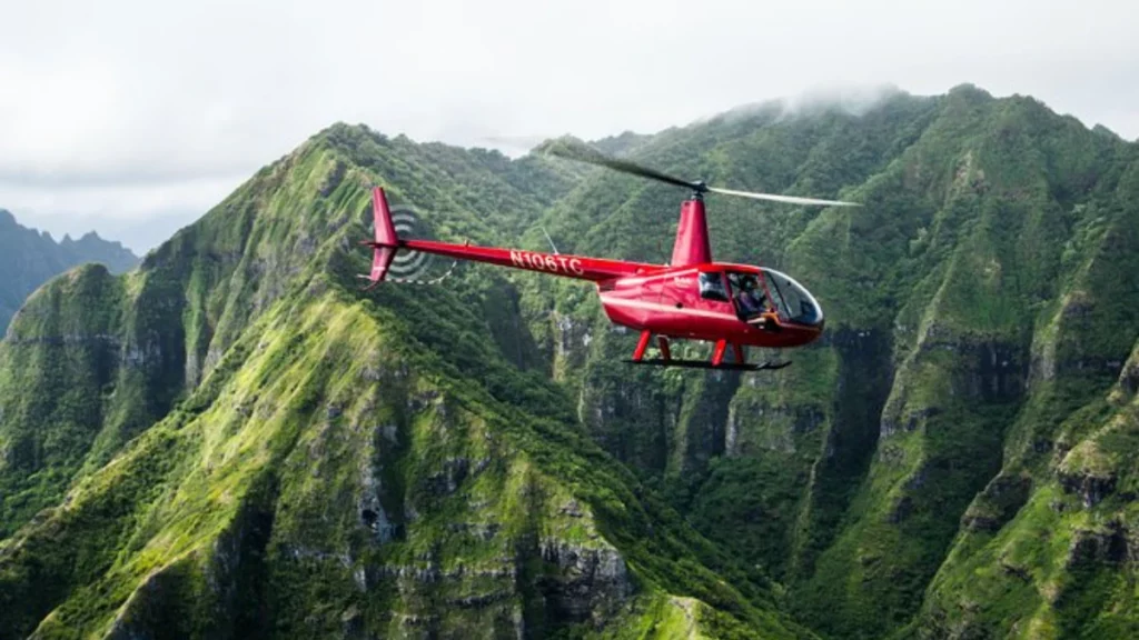 Private Helicopter Tour With Landing