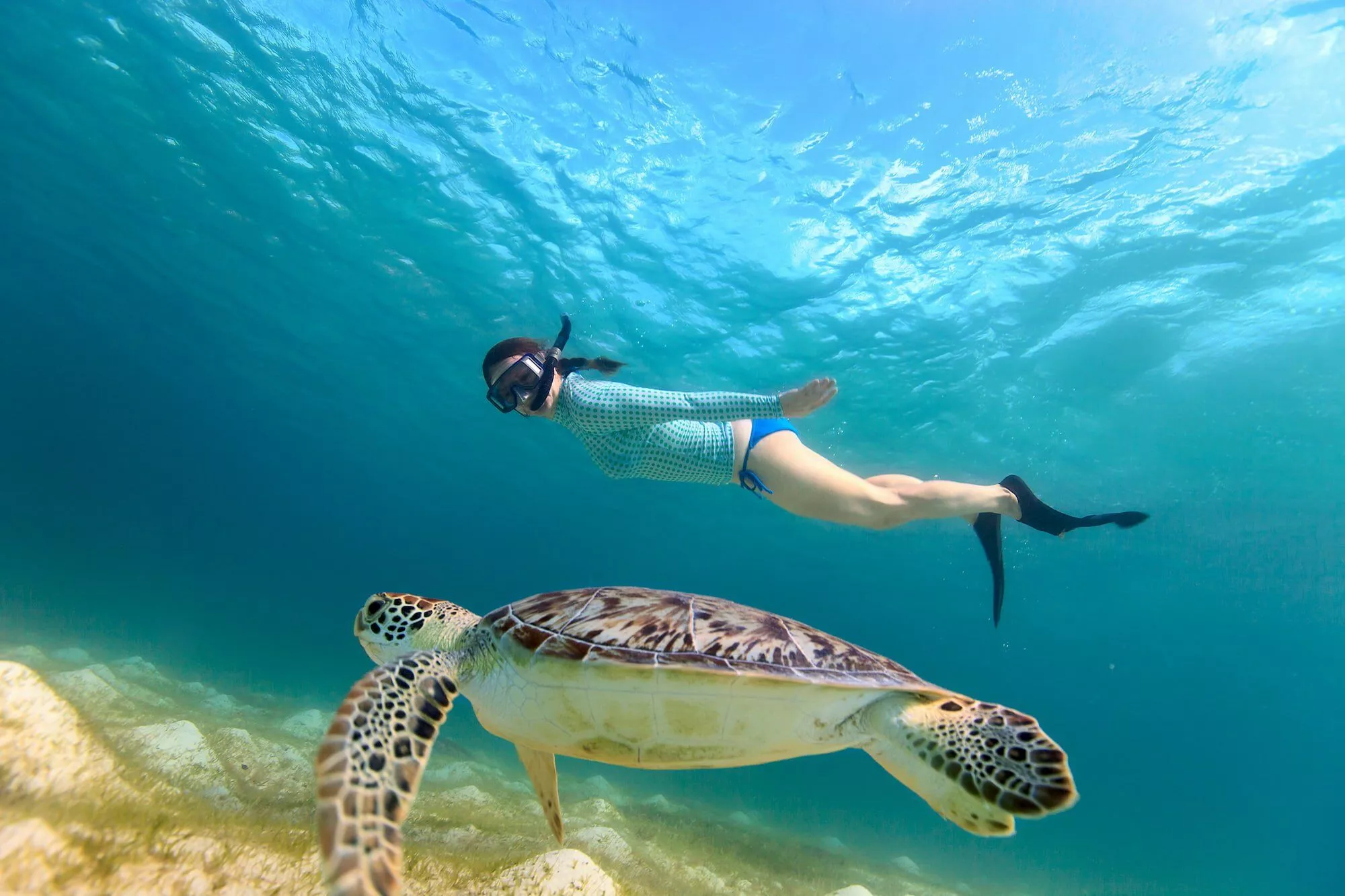 Private Island Tour With Snorkeling