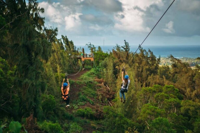 Ultimate Ziplining Experience