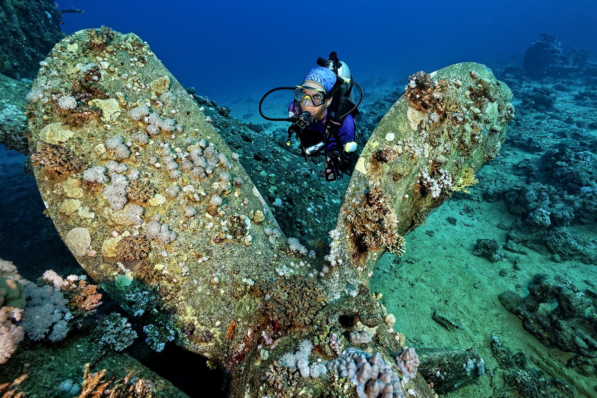 Wreck and Reef Dive