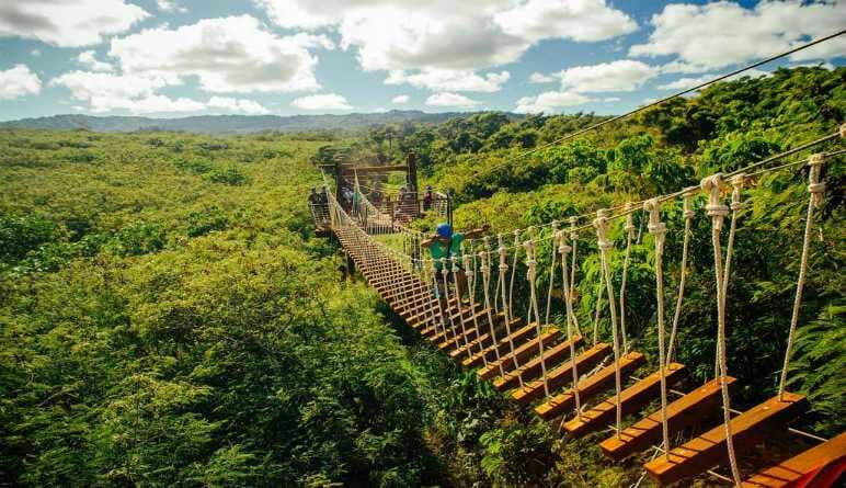 Zipline Tour (North Shore)