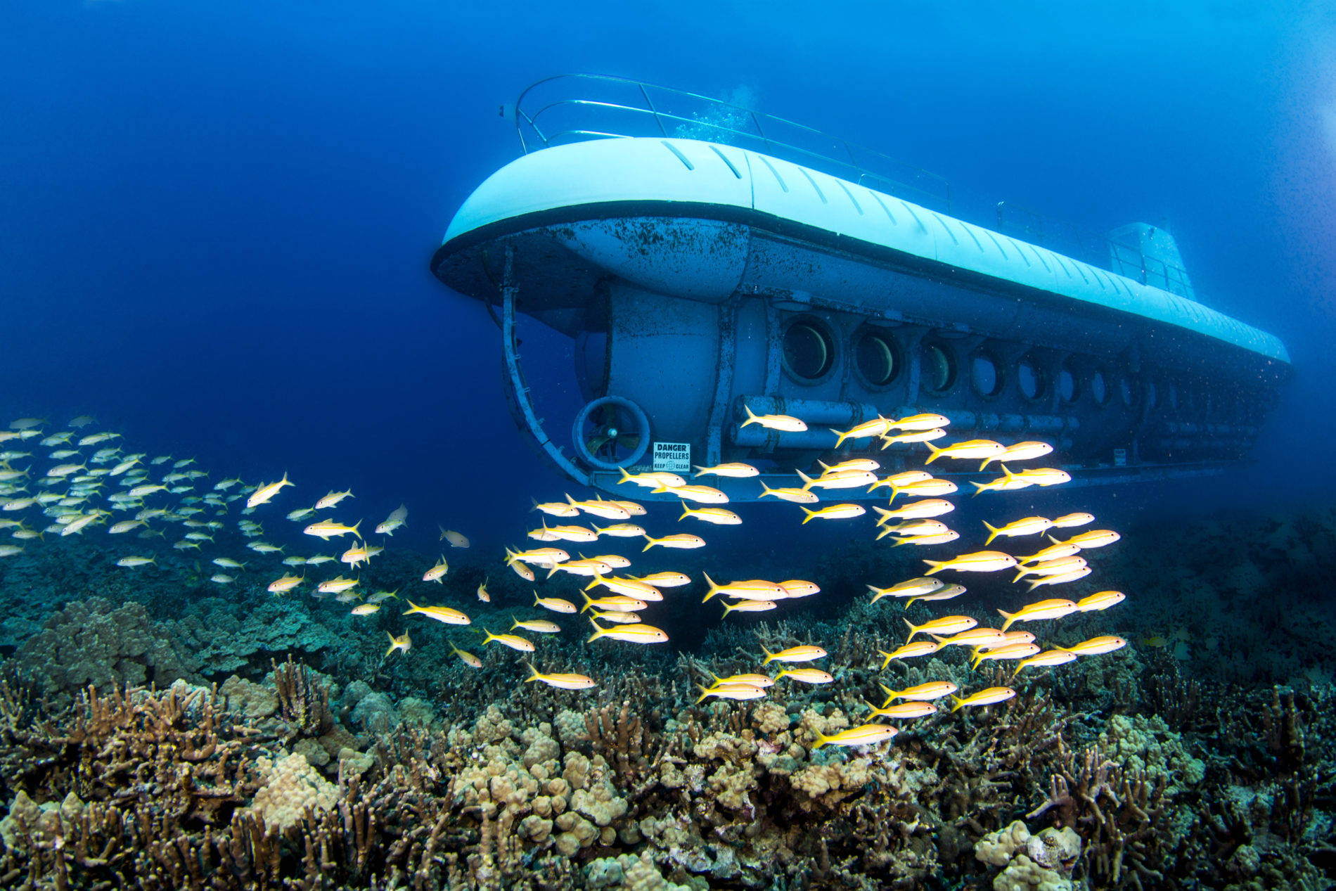 Oahu Submarine Tours