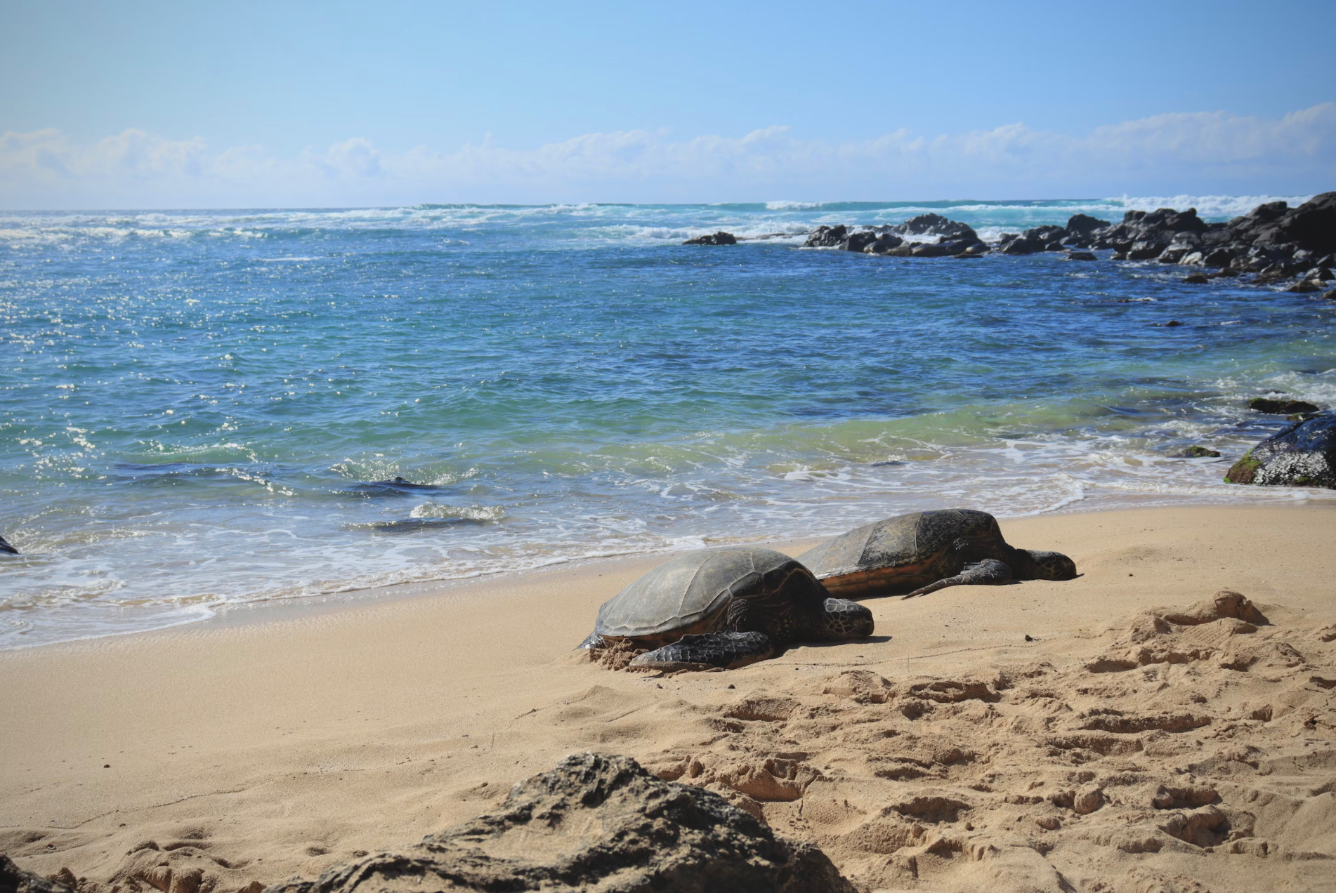 Best Hawaiian Islands