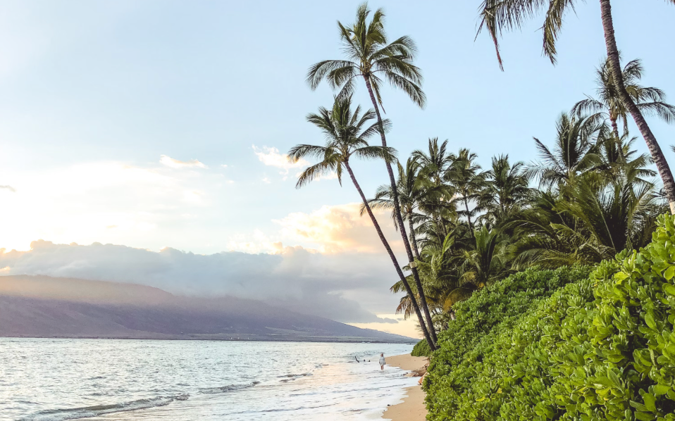 Things To Do In Maui 